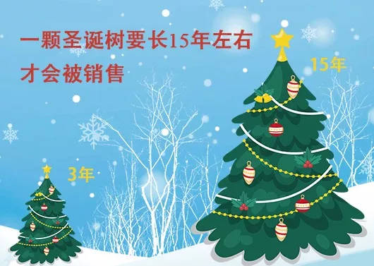 中國最早報道圣誕節(jié)的竟是《人民日報》，你不知道的10個圣誕小知識